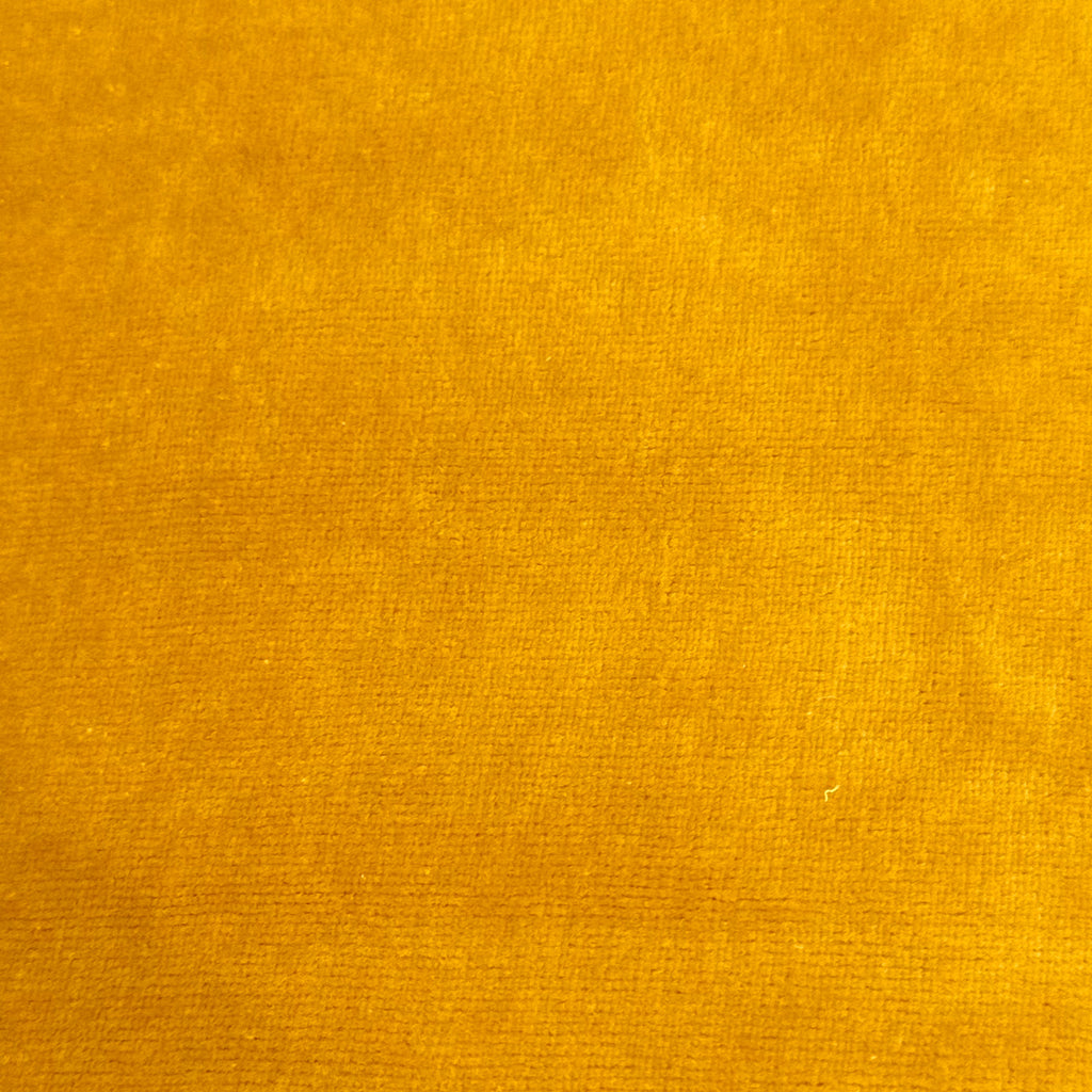 Mustard Stretch Velour