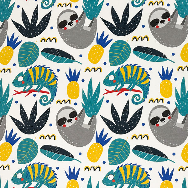 Colourful Sloths