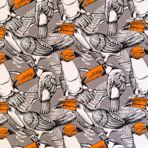 Toucans