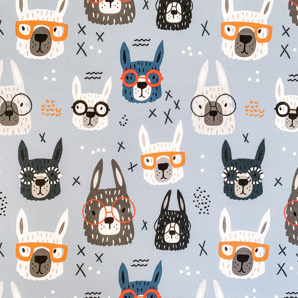 Llamas in Glasses