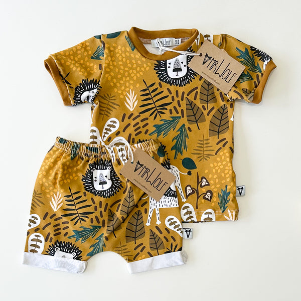 Jungle lions